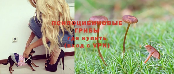 прущая мука Заволжск