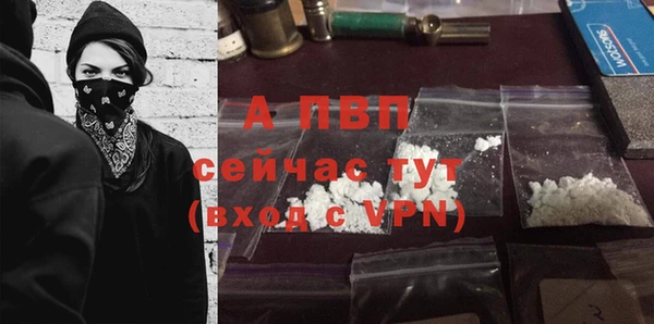 ECSTASY Заволжье