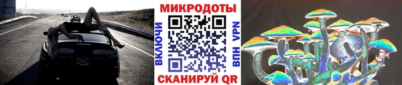 Купить закладки  Курчатов  Псилоцибиновые грибы GOLDEN TEACHER 